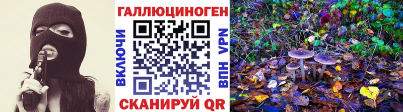 Псилоцибиновые грибы Psilocybine cubensis  купить   Озёры 