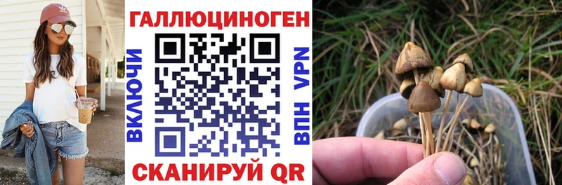 Псилоцибиновые грибы Psilocybe Озёры